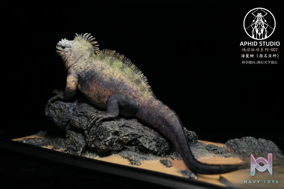 Aphid Studio – Planet Earth – Marine Iguana (Licensed)
