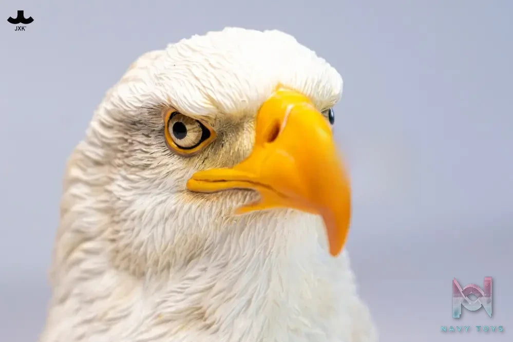 JXK – Eagle head statue SA003 (Licensed)