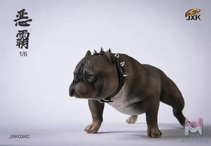 JXK – 1/6 Bully Dog JXK034B JXK034C JXK034D (Licensed)