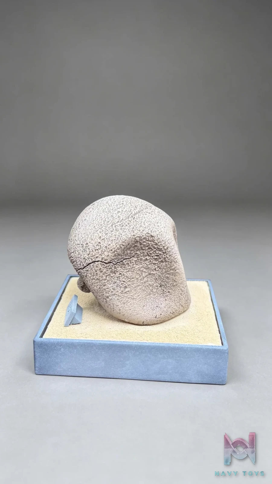 Miumiu Studio – Fossil Museum Series Kabutops X Kabuto Pokémon