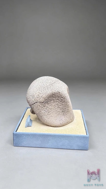 Miumiu Studio – Fossil Museum Series Kabutops X Kabuto Pokémon