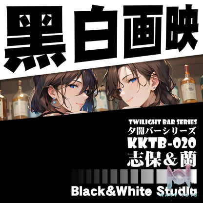 B&W Studio – Detective Conan Desktop Decorative Card Brick Shiho Miyano & Ran Mori