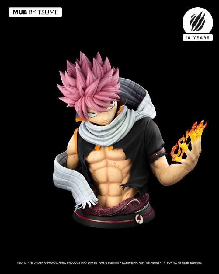 Natsu Dragneel Bust Tsume Studio resin statue tsume Studio anime figure