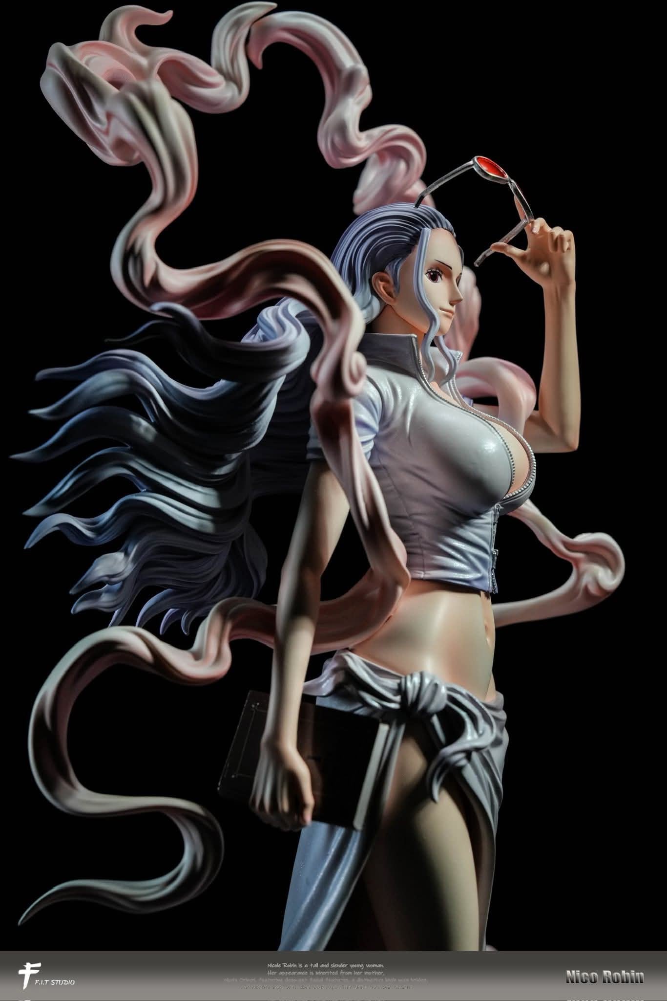 Robin Nika Form resin statue F.I.T Studio anime figure